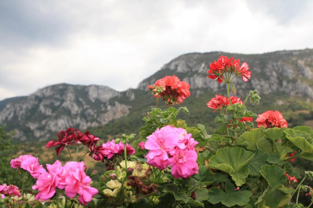 Pensiune Safrane Băile Herculane Cameră foto