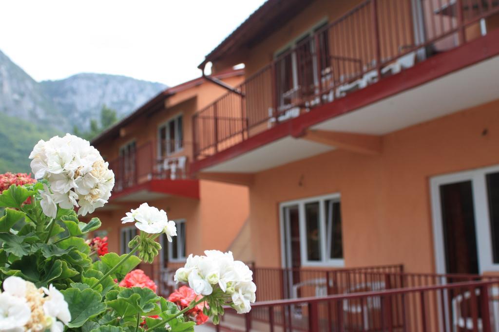 Pensiune Safrane Băile Herculane Exterior foto