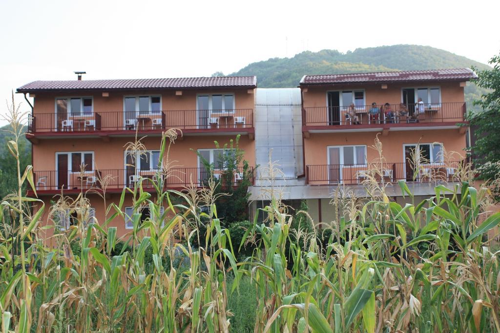 Pensiune Safrane Băile Herculane Cameră foto